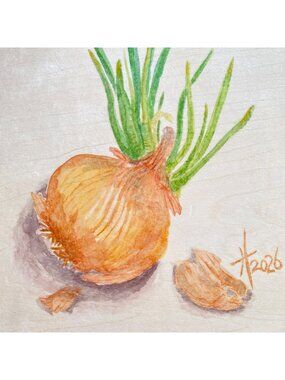 Sprouting Onion 2 Original Art Watercolor Signed Painting 8x10in on Wood Panel